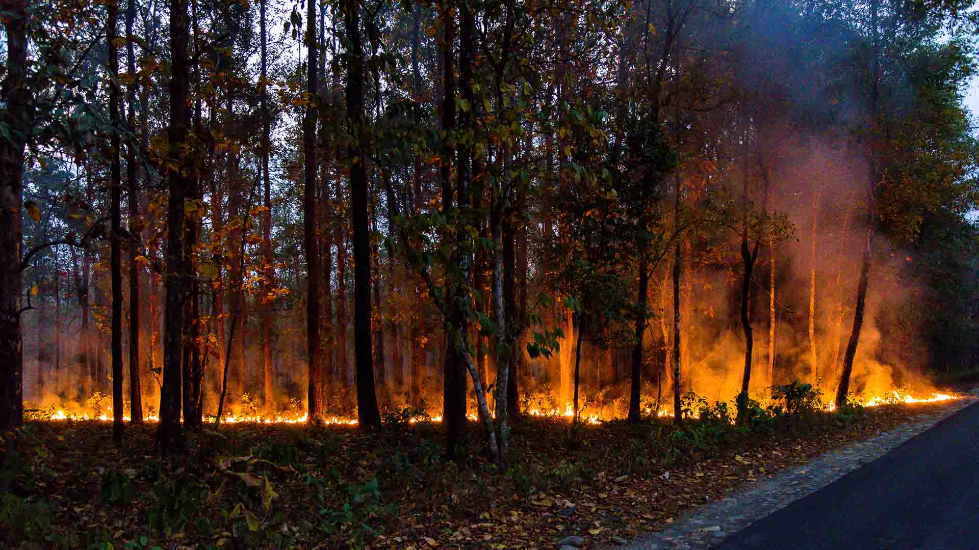 Climate Change is Shaping Insurance Industry